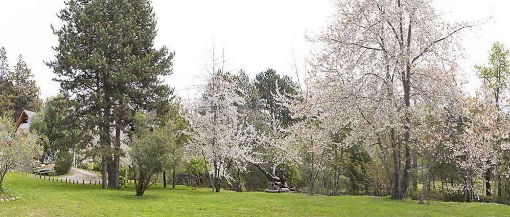 Cabanas Rucaleufu San Martin de los Andes Exterior photo